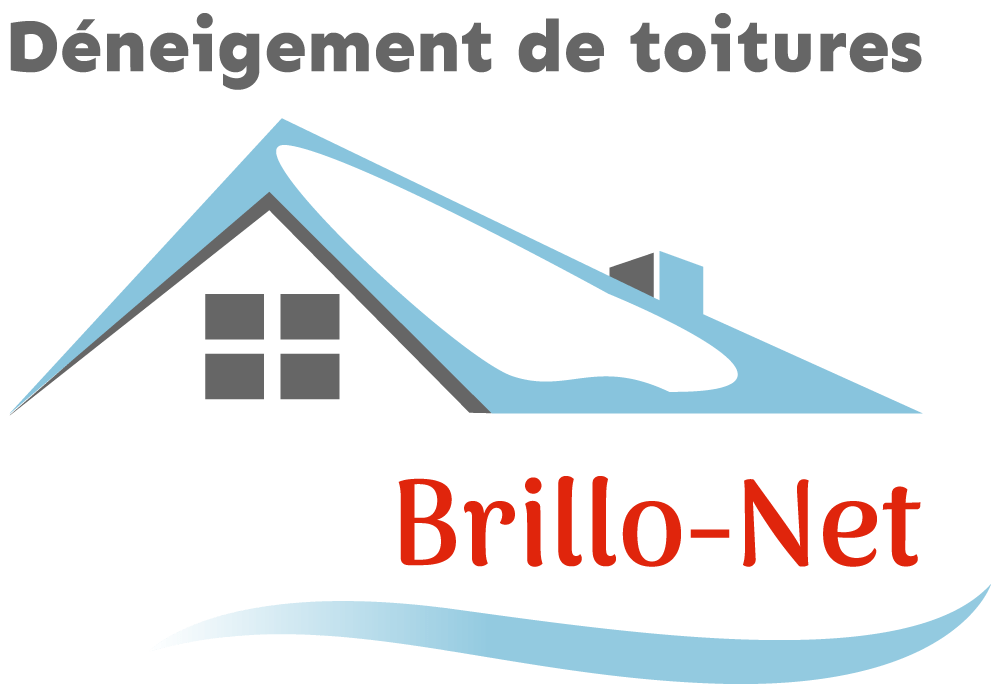 v1 logo brillo net